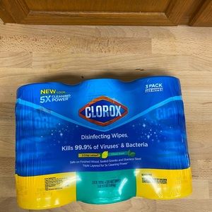COPY - Clean bundle 3 x clorox wipes.